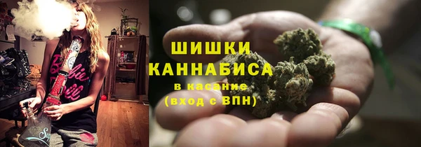 спиды Лиски