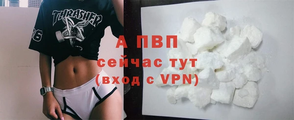 спиды Лиски