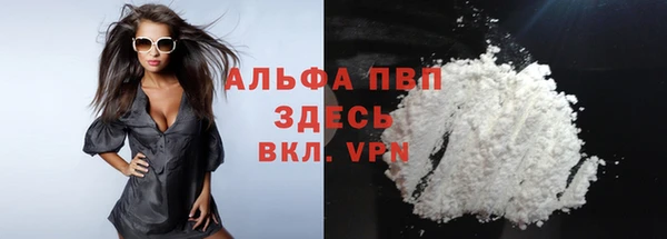стаф Чегем