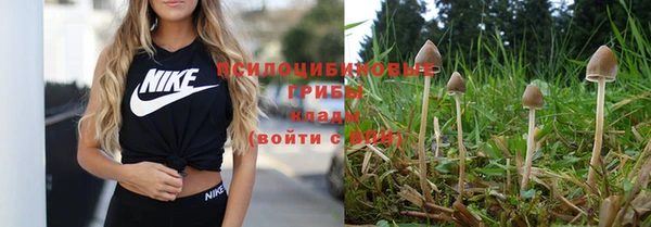 ПСИЛОЦИБИНОВЫЕ ГРИБЫ Лихославль